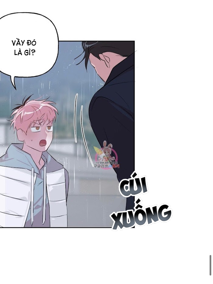 Đọc truyện Assorted Wildness - Chapter 23