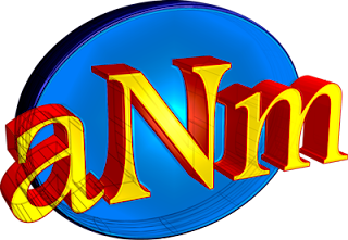 aNm logo
