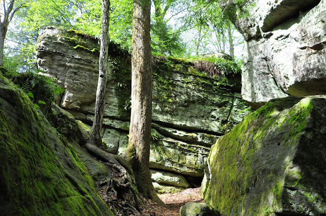 Bilger's Rocks Update - MidAtlantic Daytrips