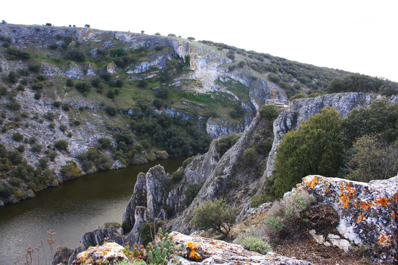 El pupitre rojo [¡COLINAS PLATEADAS...], Antonio Machado