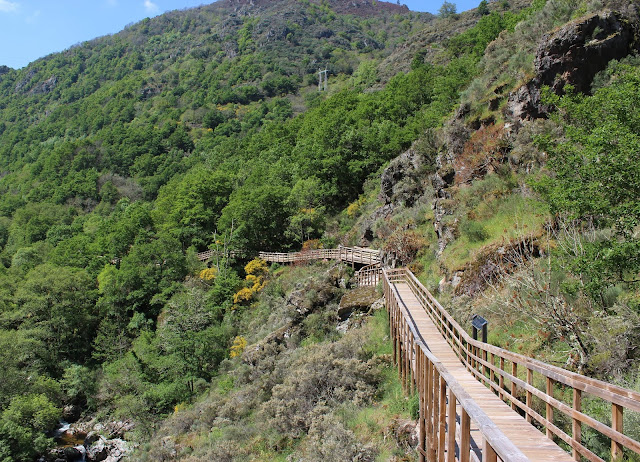 Ruta del río Mao, un  recorrido por las pasarelas colgantes del río Mao. Ribera Sacra, Orense