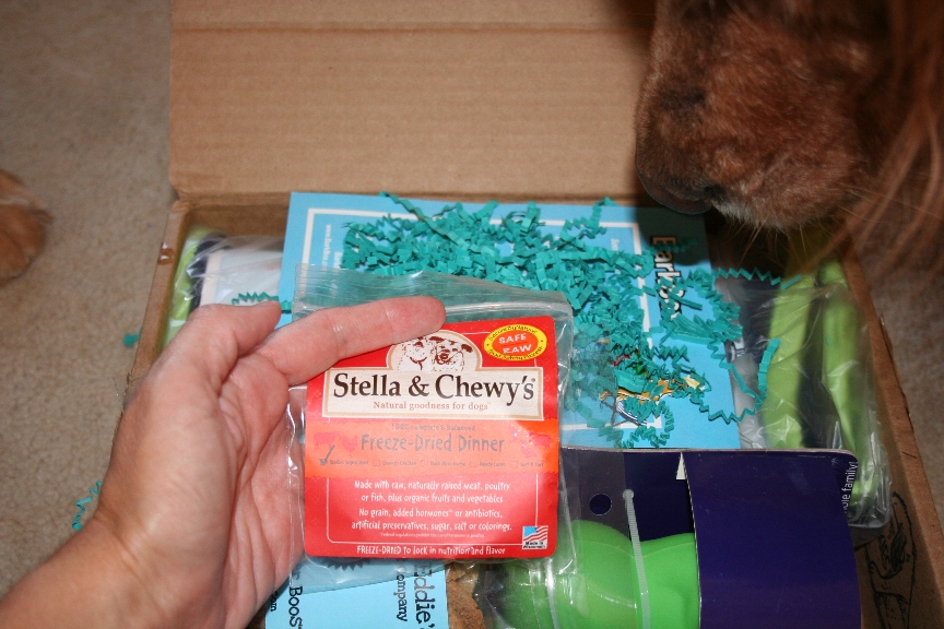 How Sam Sees It Our BarkBox arrived!