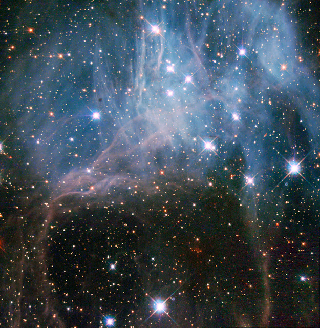 Star Cluster NGC 2040