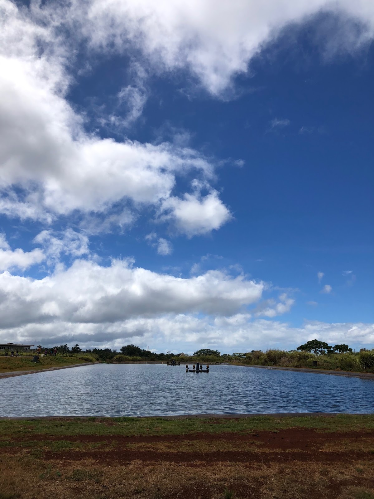 Hawaii Mom Blog Fishing Farms Hawaii