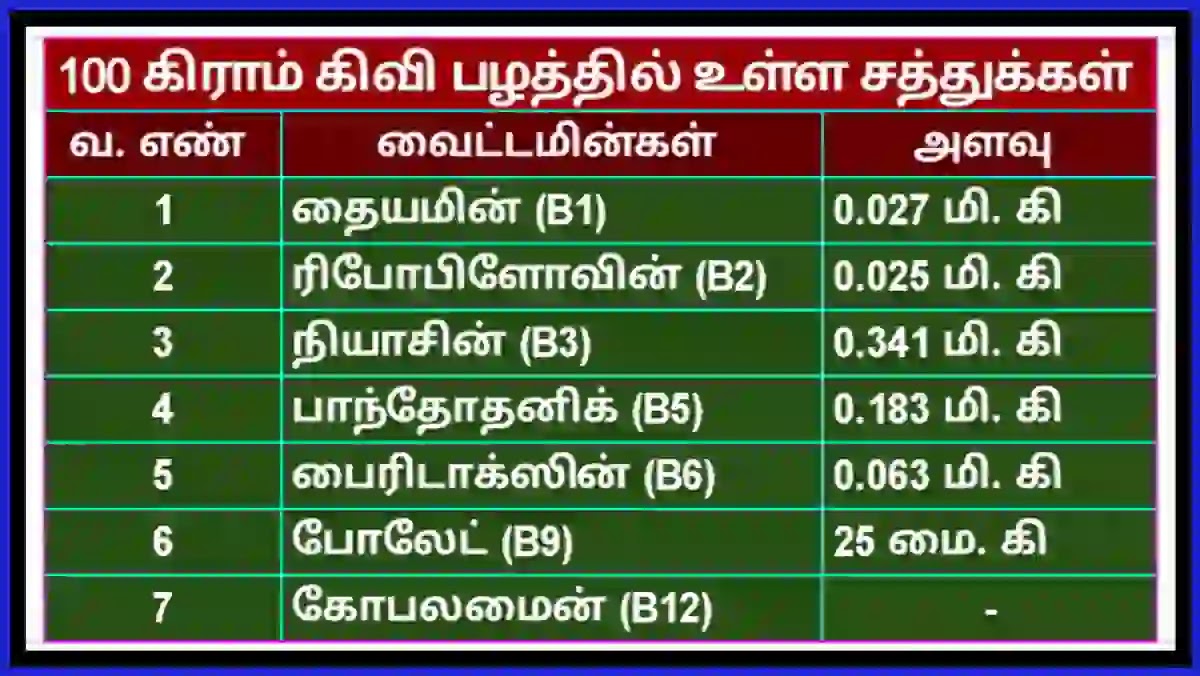 Kiwi Fruits Vitamins in Tamil கிவி பழத்தில் உள்ள சத்துக்கள் வைட்டமின்கள்