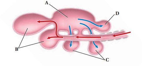 حل أسئلة الفصل الثاني الزواحف والطيور العلم نور