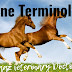 Equine Terms -Maaz Veterinary Doctor