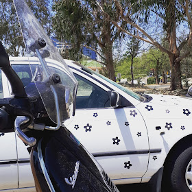Black Vespa scooter in front of a white car with black daisies on it.