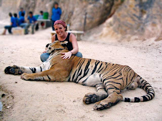 Tiger Kingdom vs Tiger Temple: Sitting with Tiger at the temple