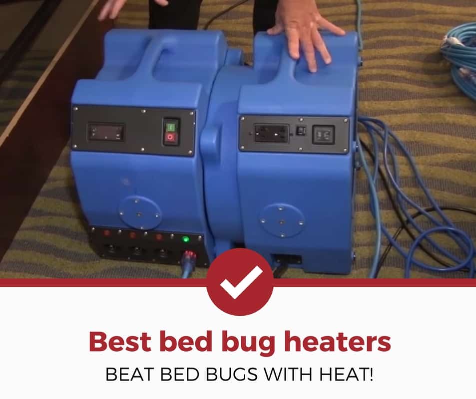 Bed Bug Heat Treatment