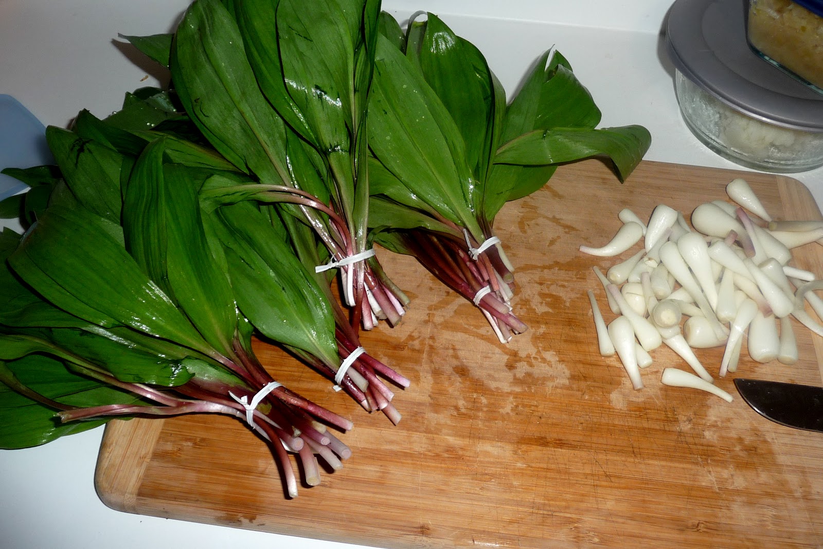 Alternative Roots Farm Foraging WIld Leeks (ramps)