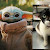 Kucing Mirip Karakter Yoda Film Star Wars