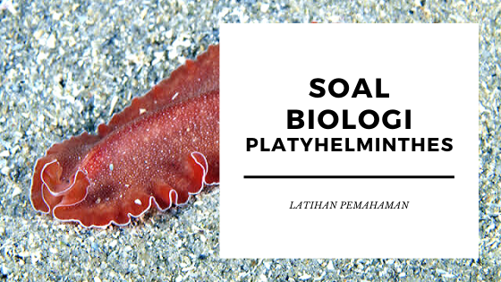 Ciri platyhelminthes