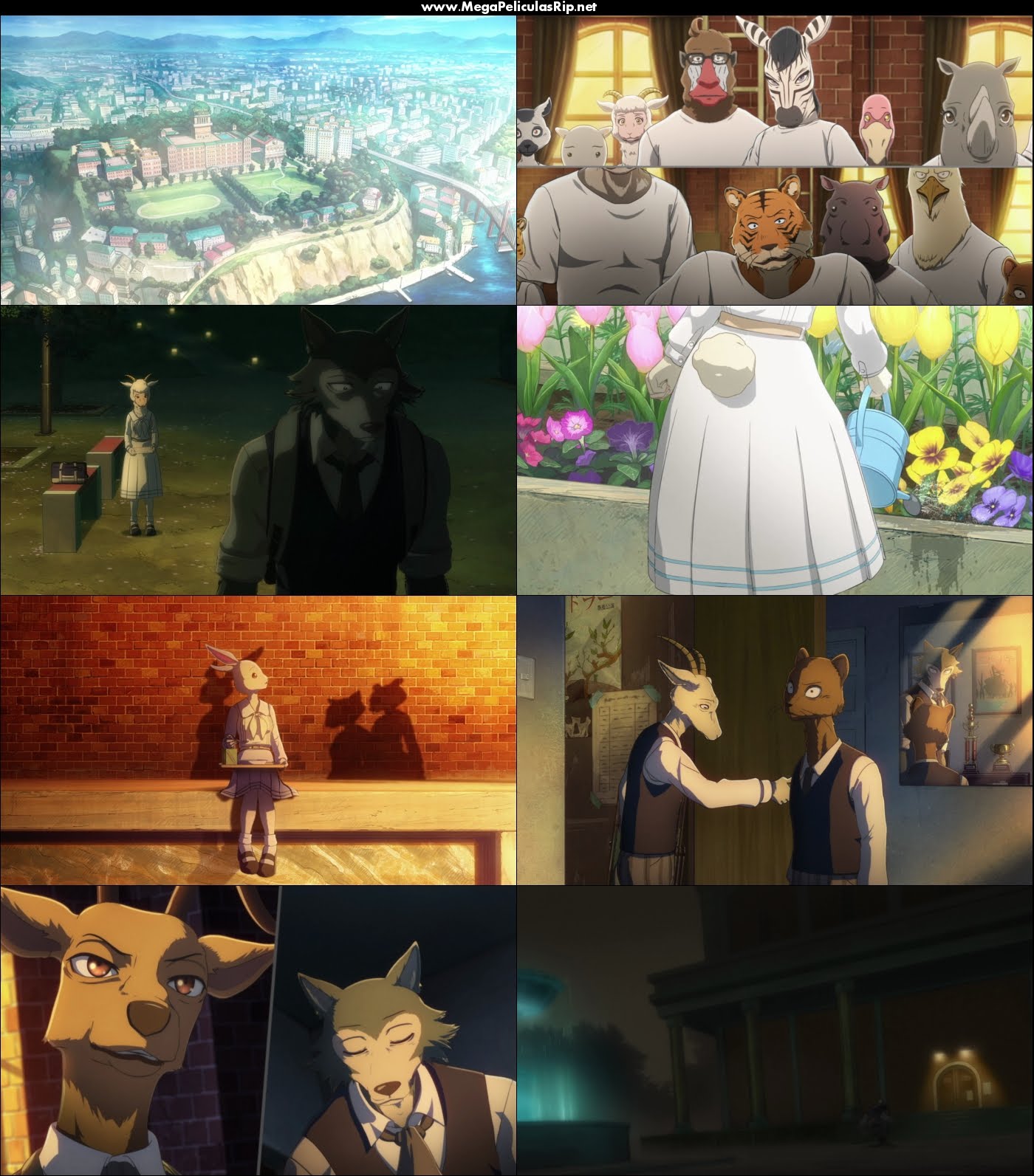 Beastars Temporada 1 720p Latino