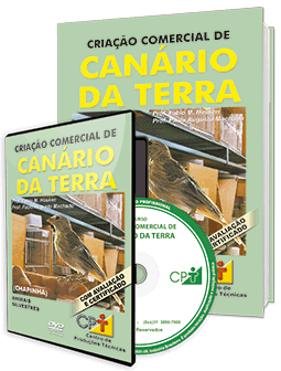 Criação de Canário da Terra