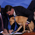 Bolsonaro sanciona lei que endurece pena para quem pratica maus-tratos a cães e gatos.