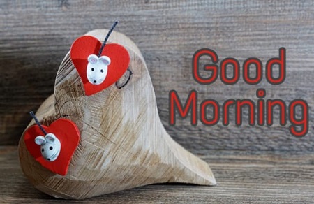 Share chat Good morning images Share chat Good morning images