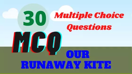 Our Runaway Kite Multiple Choice Questions (MCQ)