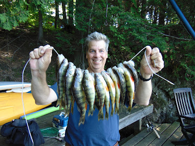 blogue de pêche,technique de pêche, perchaude, drop shot, pêche Lac Memphrémagog, Daniel Lefaivre, blogue de pêche, achigan