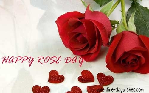 Rose day Images 2020 Rose day Images 2020