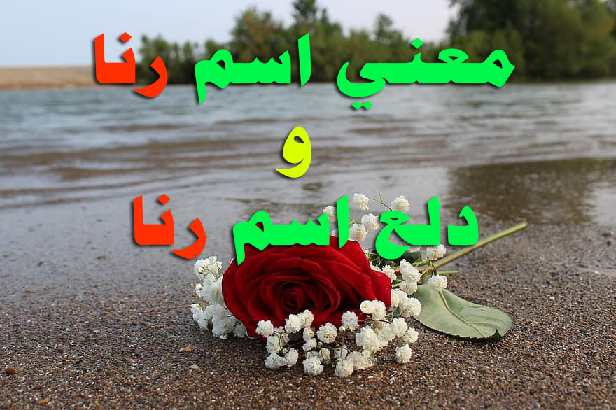 دلع اسم رنا