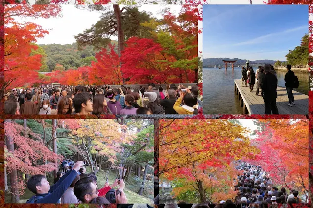 Photo taking hoards in Kyoto (a Japan Stereotype)