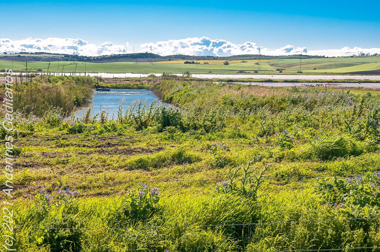 . CIRCULAR AL COMPLEJO ENDORRÉICO DEL