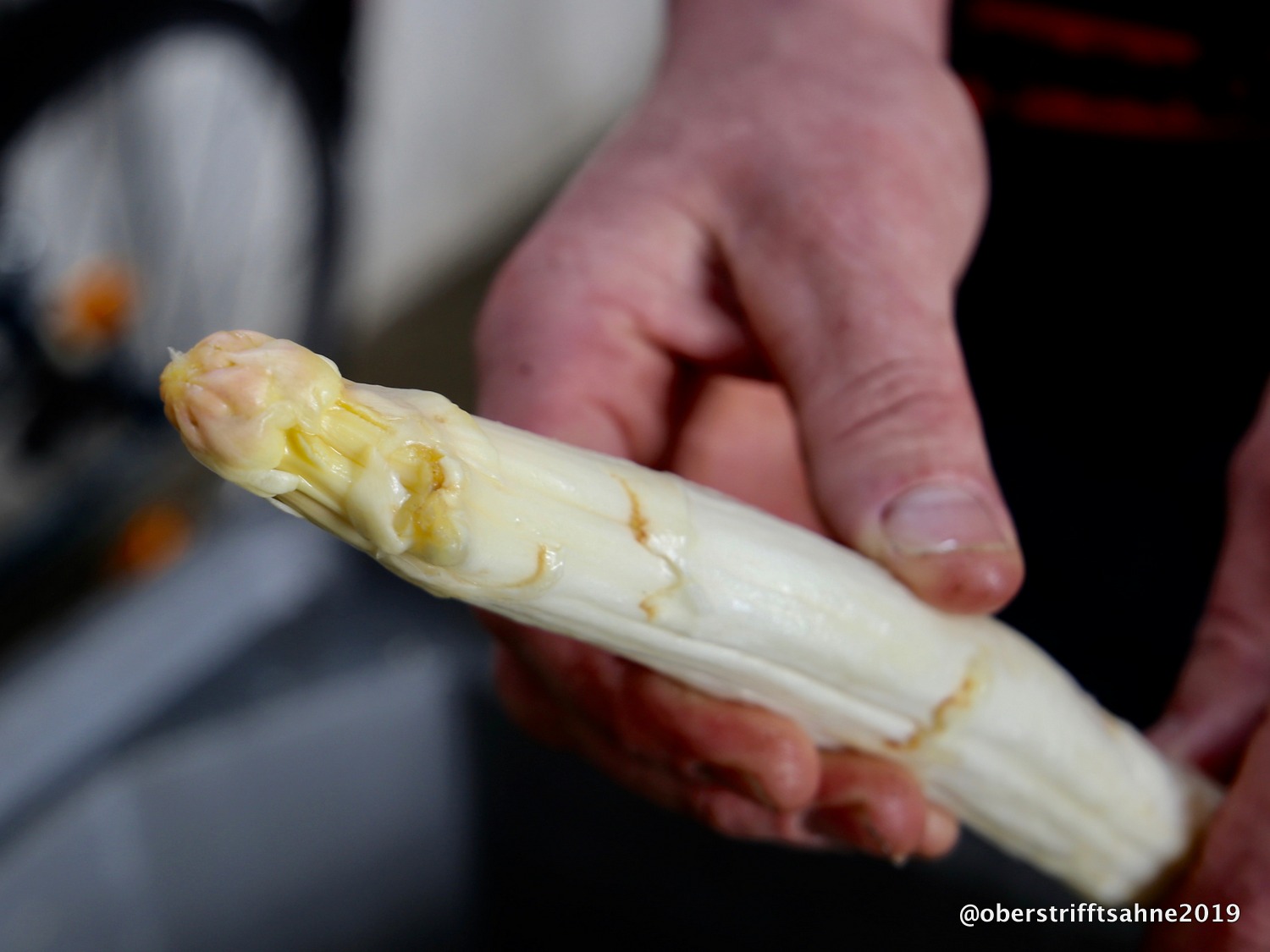 Beim Spargelbauern Aufs Feld Geschaut Und Ein Fruhlingssalat