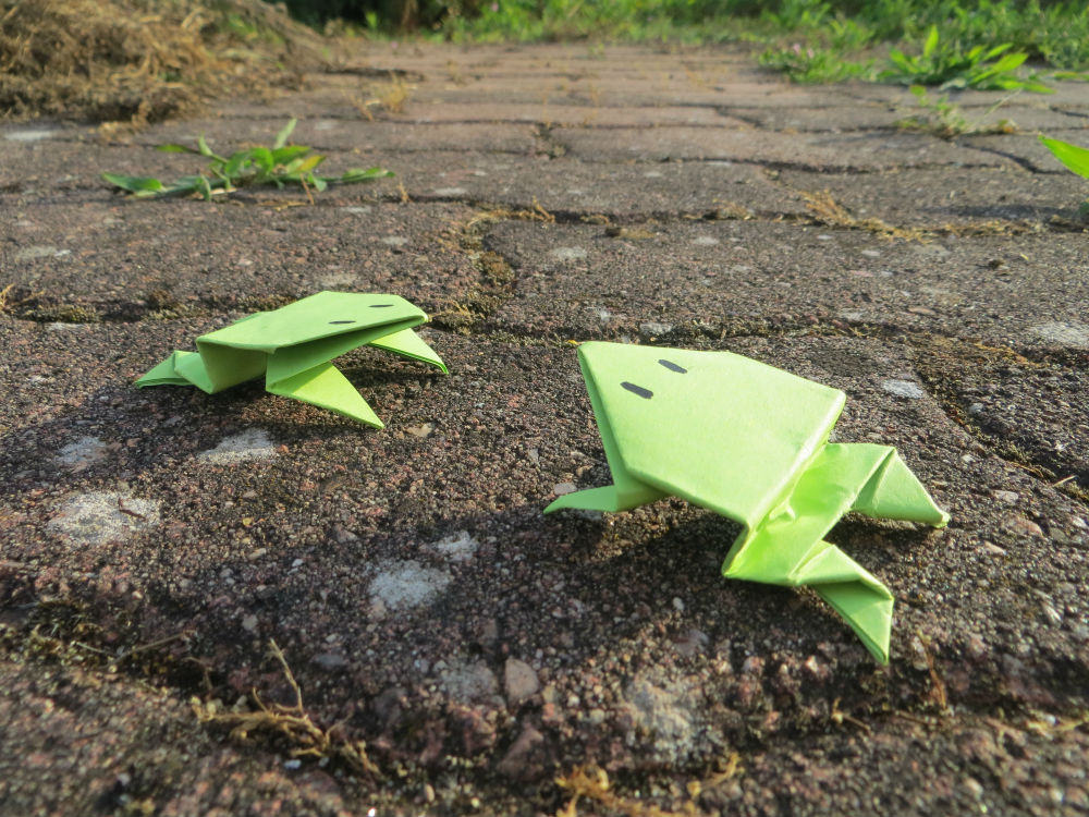 Metier Passion Daniel Boulanger Affranchi Declik