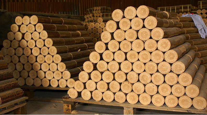 CỦI ÉP MÙN CƯA an giang CỦI ÉP MÙN CƯA an giang