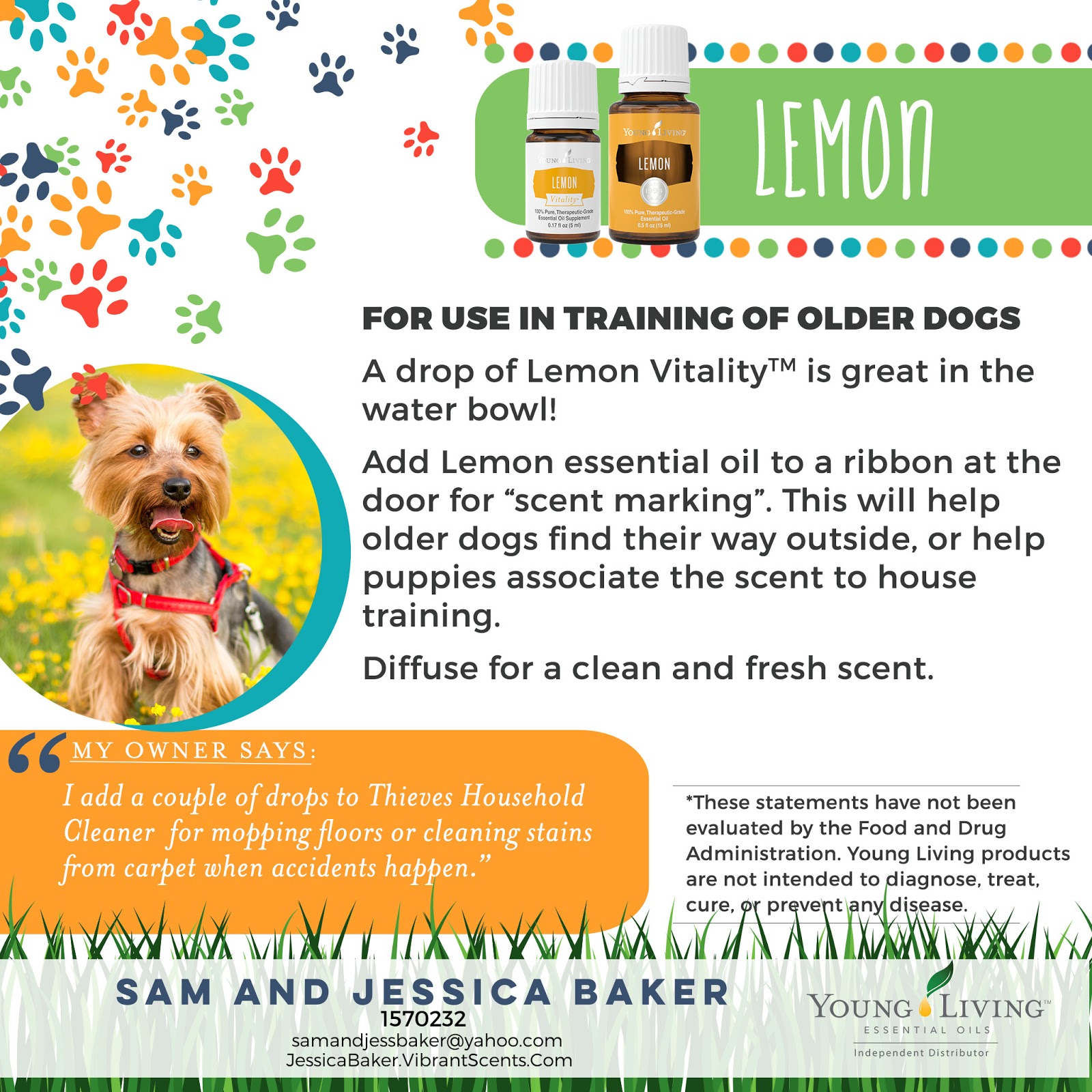 Are Young Living Essential Oils Safe To Diffuse Around Dogs