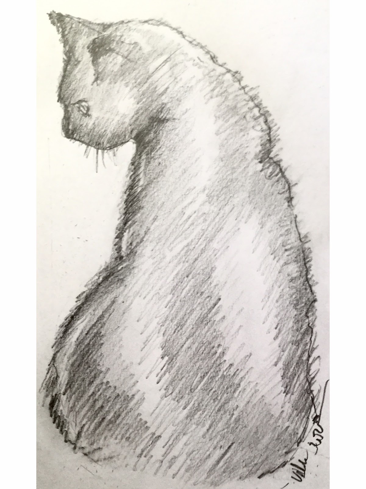 SHOP ART ONLINE What is a loose sketch?