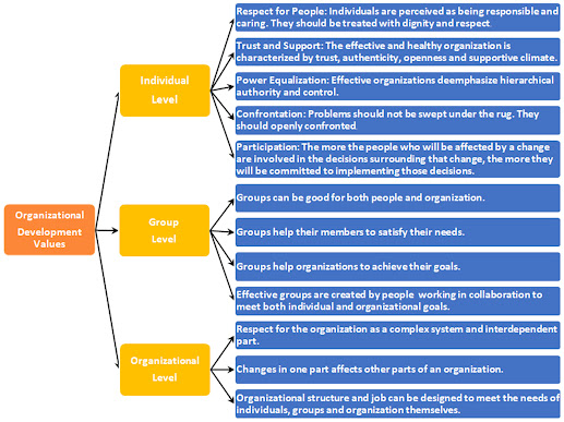 organization development values