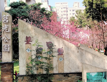 中壢景點[莒光公園]櫻花開滿園.疫情期間最佳賞景、拍照、野餐的好去處