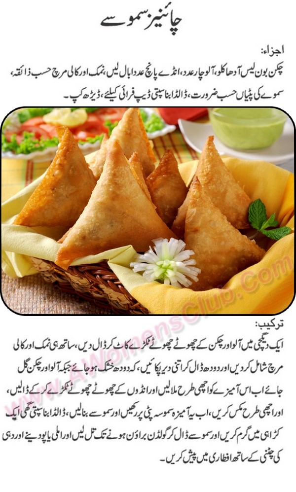 World Recipe Book Chinese Sm0say Recipe In Urdu Pakistani Food
