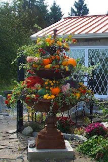 Container Gardens