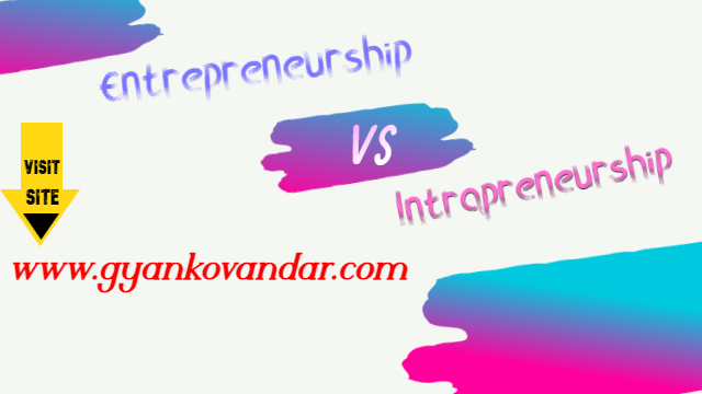 Difference Between Entrepreneurship and Intrapreneurship | Entrepreneurship Vs. Intrapreneurship