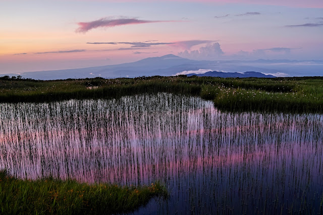 #photo #landscape #sigma #foveon #sdquattroh #japan #yamagata #tsuruoka #写真 #風景写真 #山形帝國 #山形県 #鶴岡市