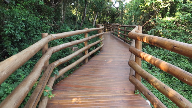 ponte Parque Natural Ilha da Usina