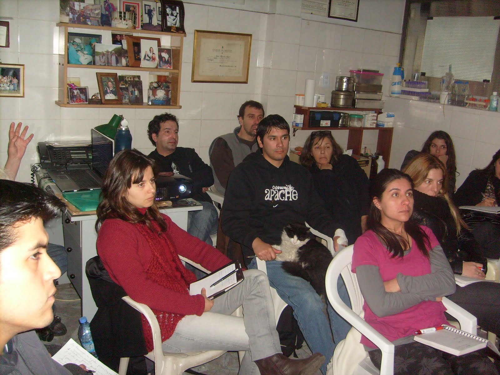 Terapia Neural Veterinaria Comenzo el segundo curso taller de Terapia Neural en Veterinaria