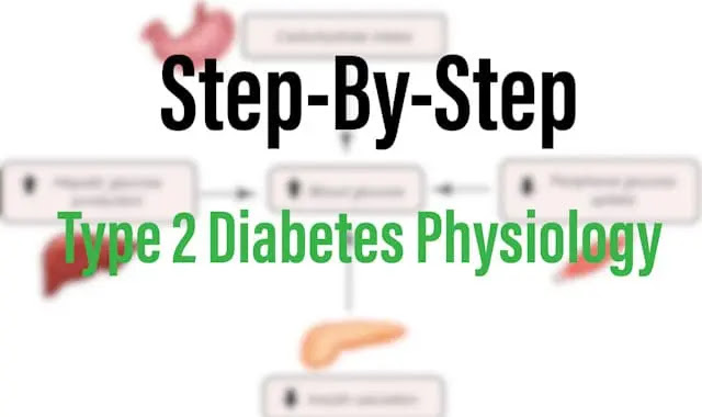 Type 2 Diabetes Physiology (Step-By-Step)