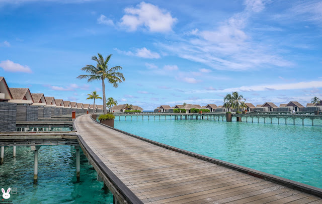 per aquum niyama, maldives, overwater bungalows. 