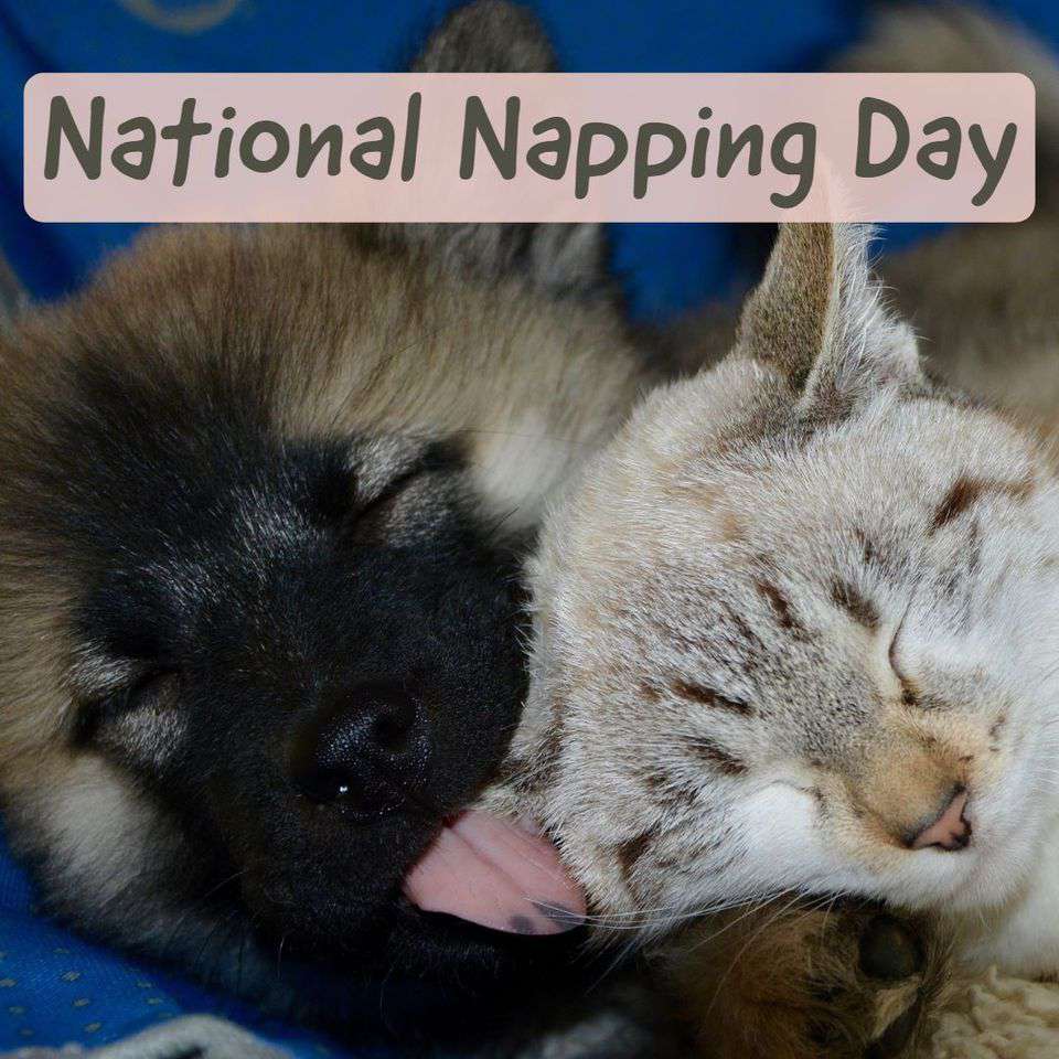 National Napping Day Wishes Beautiful Image National Napping Day Wishes Beautiful Image