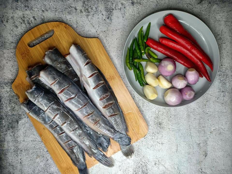 photo6242331513144323880.jpg (960×720)