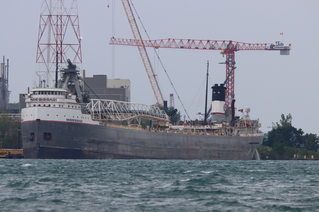 Michigan Exposures Catching the Mississagi