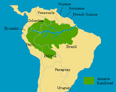 Amazon Rainforest Area