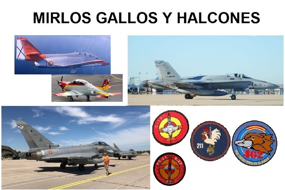       MIRLOS, GALLOS Y HALCONES