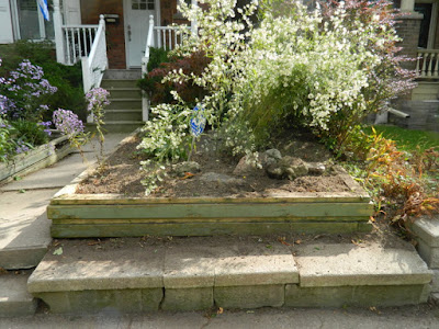 Roncesvalles Toronto Front Yard Fall Cleanup After by Paul Jung Gardening Services--a Toronto Gardening Company Roncesvalles Toronto Front Yard Fall Cleanup After by Paul Jung Gardening Services--a Toronto Gardening Company