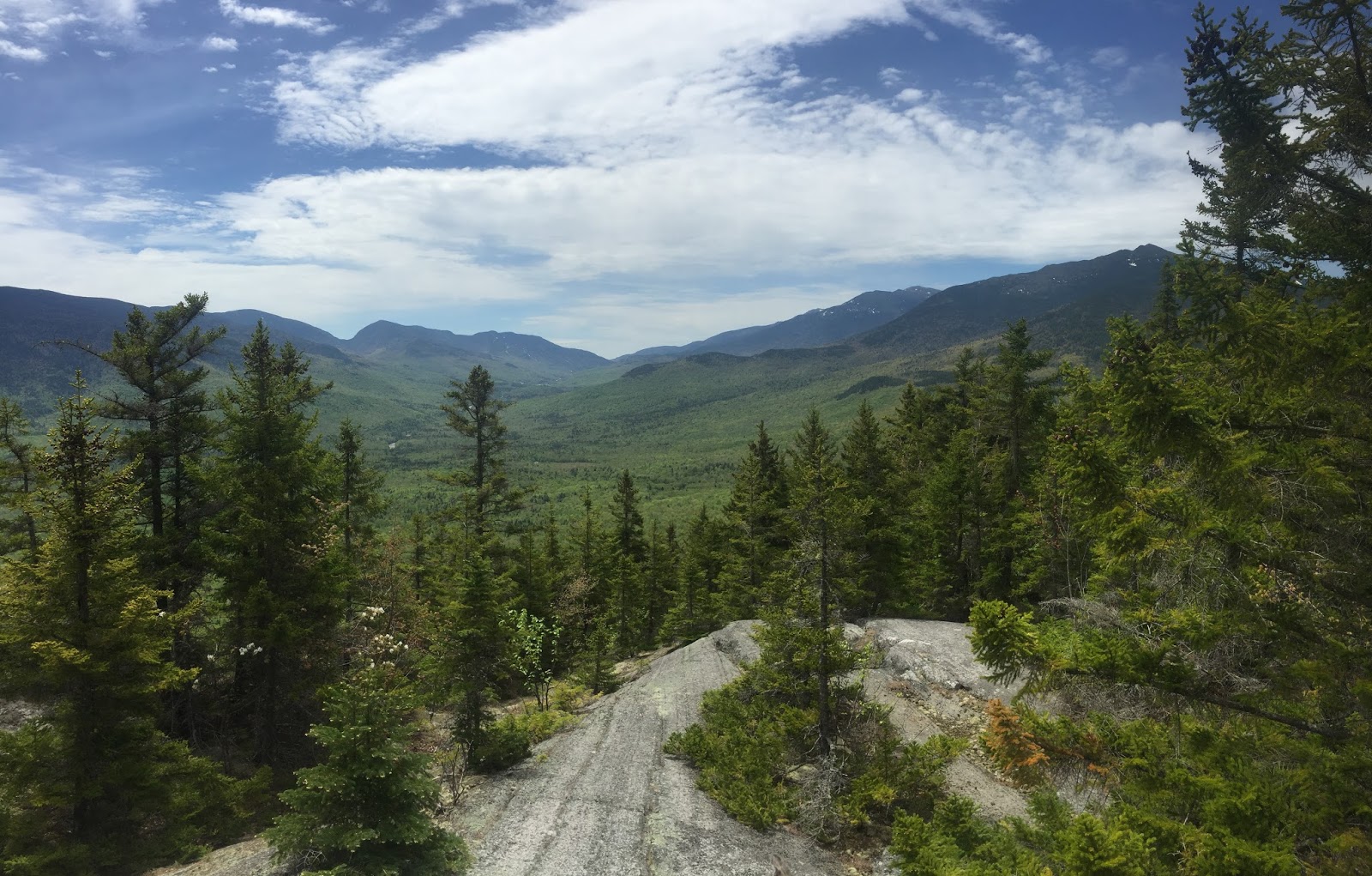Paws on Peaks Small hikes, big views Pine Mountain