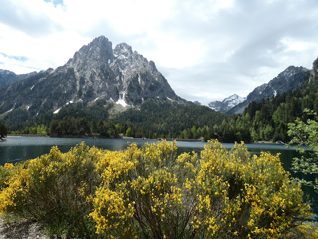 Depuis le sentier qui longe le lac, o ù le genêt pousse en abondance, les Encantats nous en mettent plein la vue !